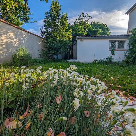 La Maison Calme Et Lumineuse Avec Jardin Toulouse Exteriör bild